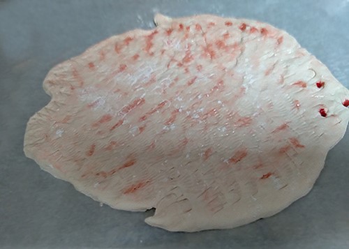 Raw flat fish, painted with food colouring,